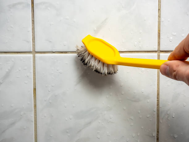 Best Mold Remediation for Specific Building Types in Melrose, MN