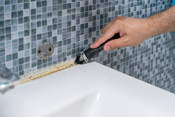 Best Mold Testing and Inspection Services in Melrose, MN